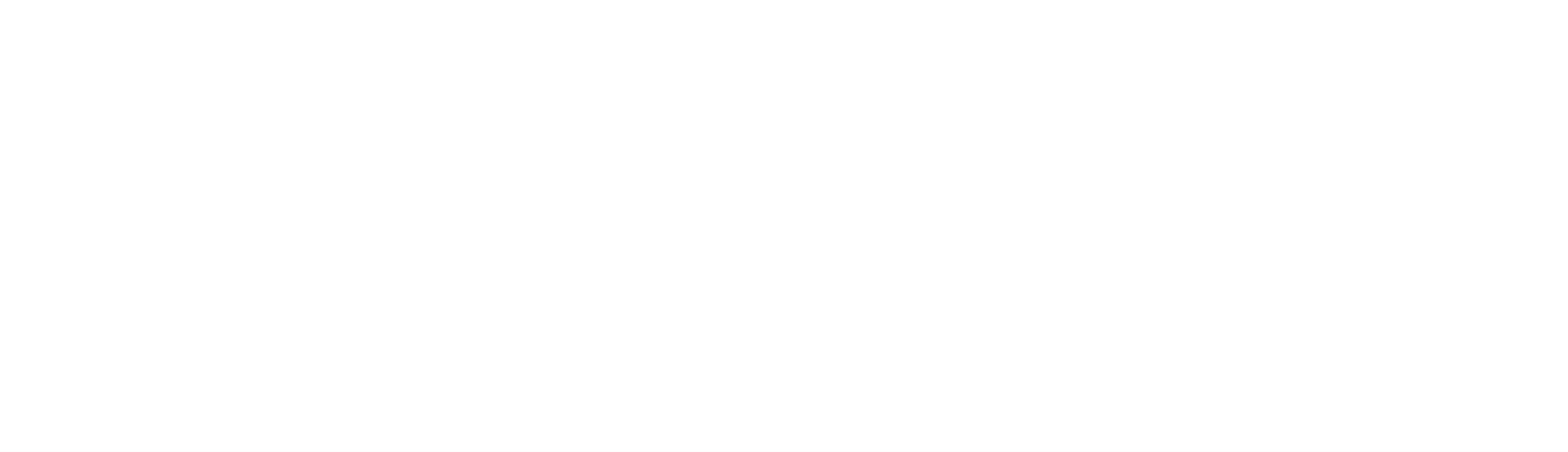 Neat Logo